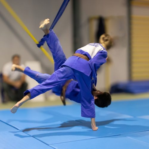spartakos judo