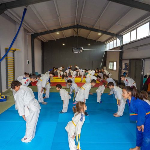 spartakos judo